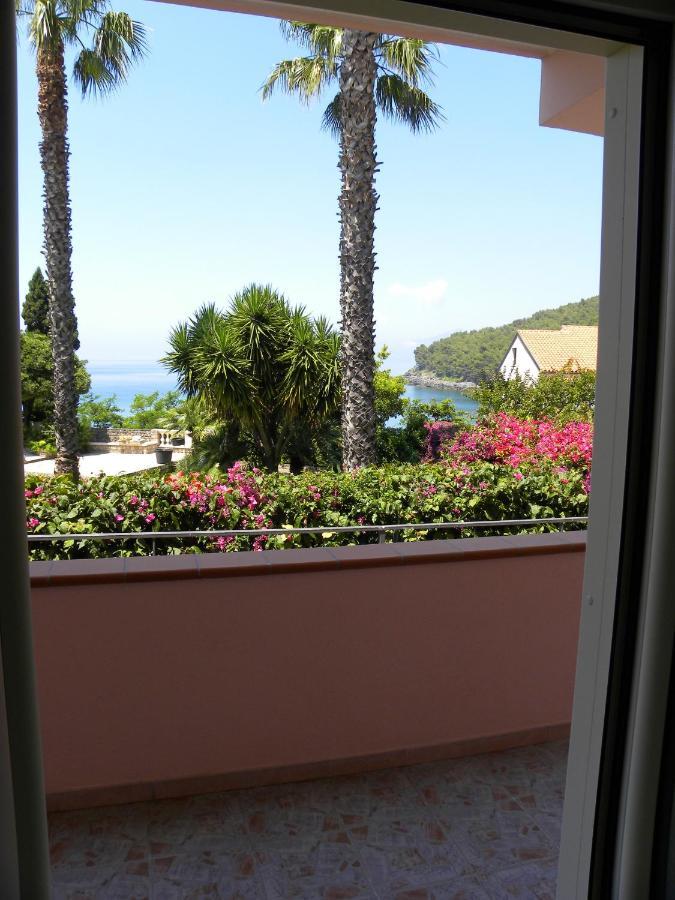 Comfortable Apartment In Maratea With Sea View 95 M² + Parking Exterior foto